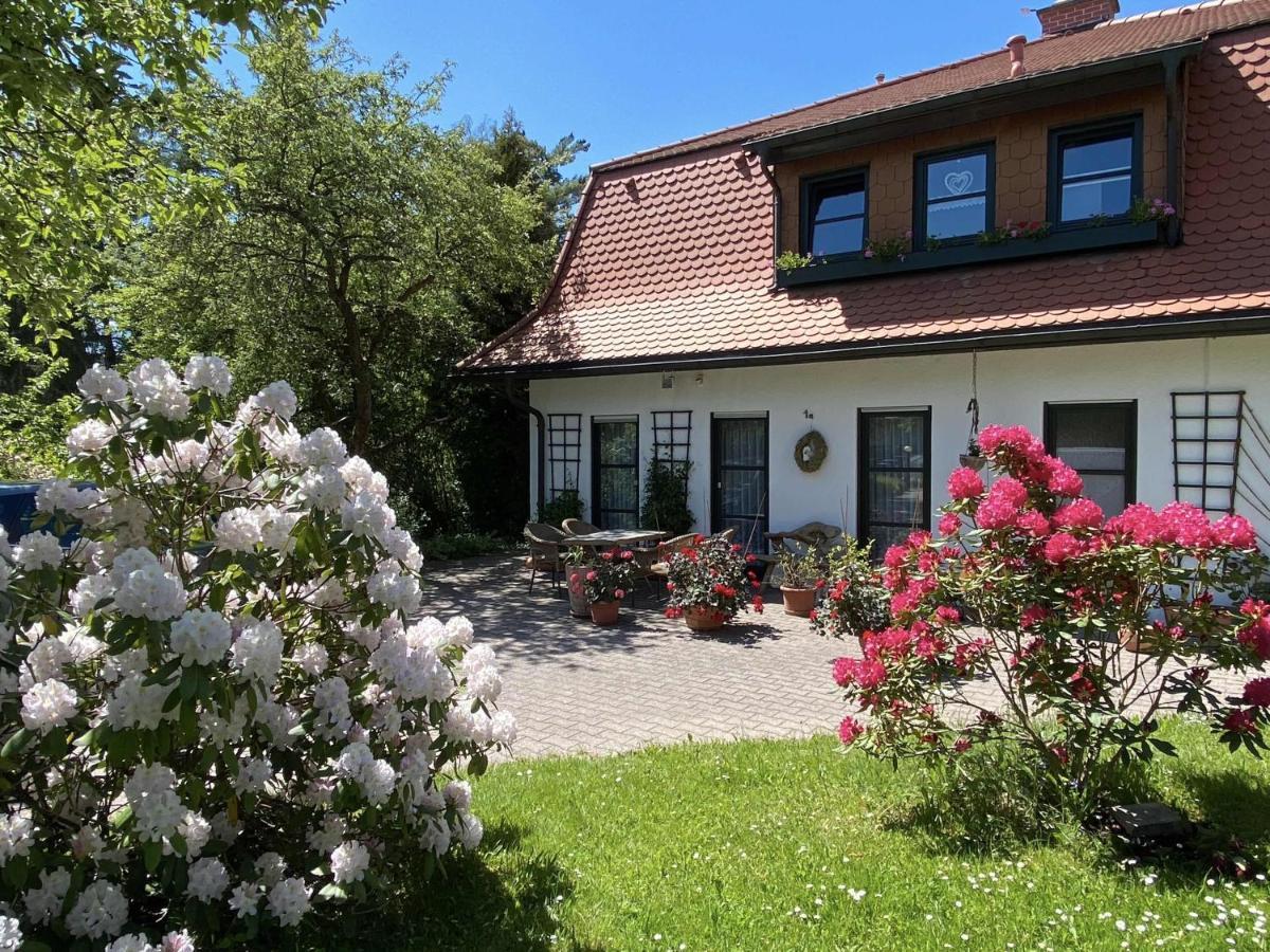 Ferienwohnungen Elsterblick Bad Elster Eksteriør bilde